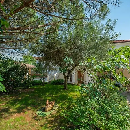 Apartment Royal House With Umag